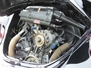 MyBeetle22ndJuly2018 (8)