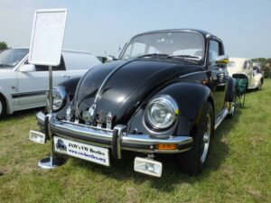 MyBeetle26thMay2018 (3)