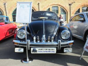 MyBeetle9thSept2018 (1)