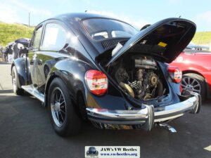 MyBeetle9thSept2018 (10)