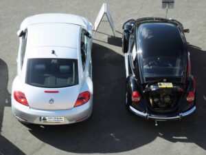 MyBeetle9thSept2018 (11)