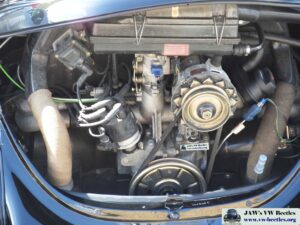 MyBeetle9thSept2018 (12)