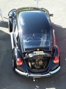 MyBeetle9thSept2018 (13)