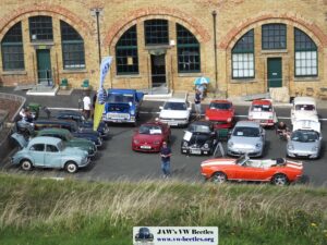 MyBeetle9thSept2018 (14)