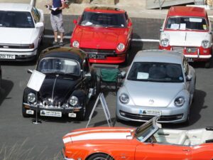 MyBeetle9thSept2018 (16)