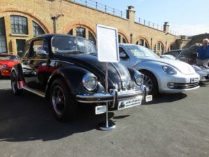MyBeetle9thSept2018 (5)