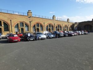 MyBeetle9thSept2018 (6)