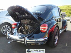 MyBeetle9thSept2018 (7)