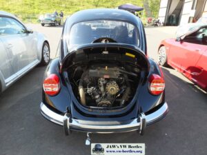MyBeetle9thSept2018 (8)