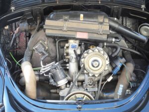 MyBeetle9thSept2018 (9)