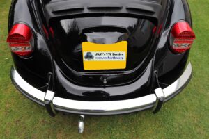 MyBeetle17thAug2019 (13)