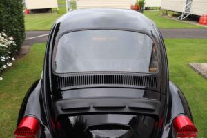 MyBeetle17thAug2019 (14)