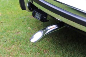 MyBeetle17thAug2019 (16)