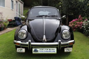 MyBeetle17thAug2019 (4)