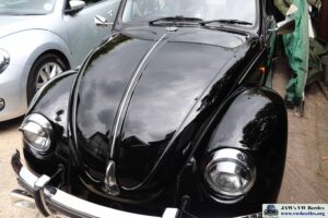 MyBeetle18thMay2019 (11)