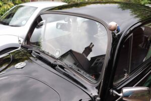 MyBeetle18thMay2019 (18)