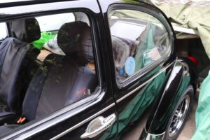 MyBeetle18thMay2019 (19)