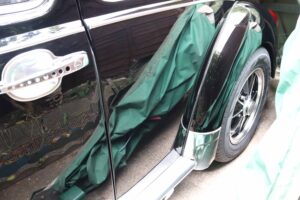 MyBeetle18thMay2019 (20)