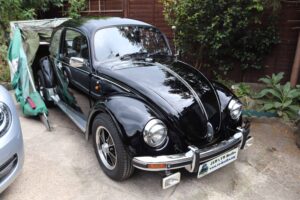 Bertie