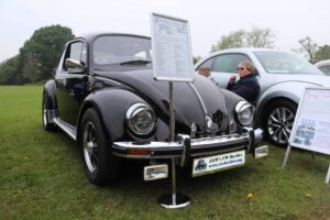 MyBeetle19thMay2019 (1)