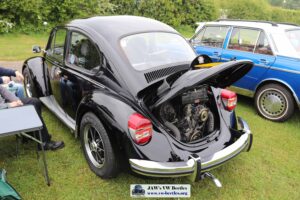 MyBeetle19thMay2019 (11)