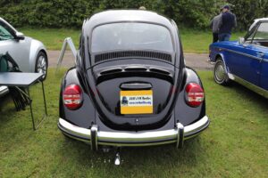 MyBeetle19thMay2019 (13)