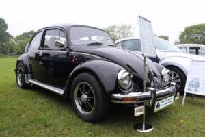 MyBeetle19thMay2019 (2)