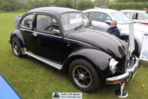 MyBeetle19thMay2019 (5)