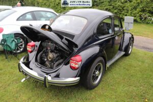 MyBeetle19thMay2019 (6)