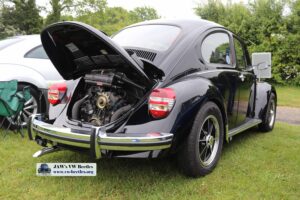 MyBeetle19thMay2019 (7)