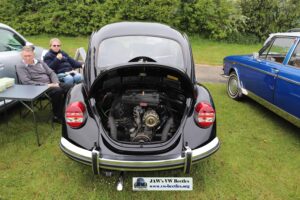 MyBeetle19thMay2019 (8)