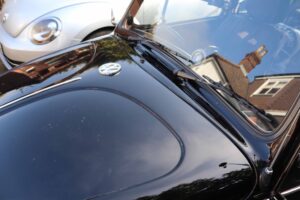 MyBeetle23rdFeb2019 (12)