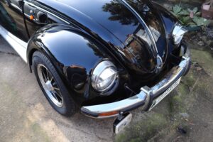 MyBeetle23rdFeb2019 (14)