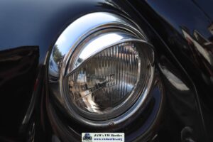 MyBeetle23rdFeb2019 (15)