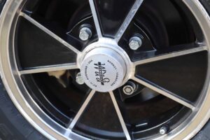 MyBeetle23rdFeb2019 (17)