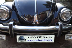 MyBeetle23rdFeb2019 (22)
