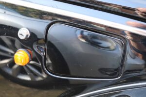 MyBeetle23rdFeb2019 (24)