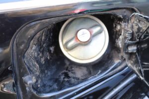 MyBeetle23rdFeb2019 (26)