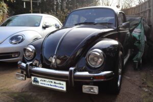MyBeetle23rdFeb2019 (3)