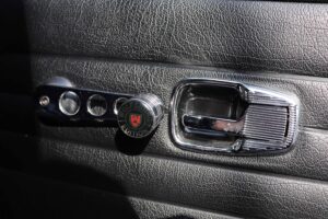 MyBeetle23rdFeb2019 (39)