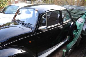 MyBeetle23rdFeb2019 (4)