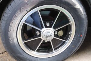MyBeetle23rdFeb2019 (6)