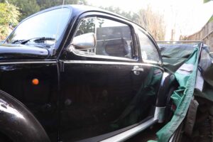MyBeetle23rdFeb2019 (7)