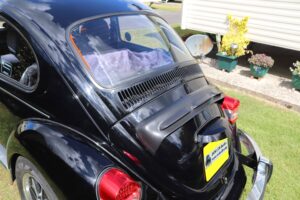 MyBeetle27thMay2019 (13)
