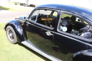 MyBeetle27thMay2019 (15)