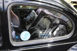 MyBeetle27thMay2019 (17)