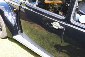 MyBeetle27thMay2019 (19)