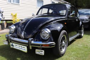 MyBeetle27thMay2019 (26)