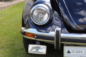 MyBeetle27thMay2019 (29)
