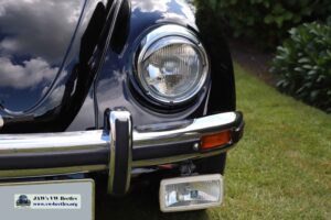 MyBeetle27thMay2019 (30)